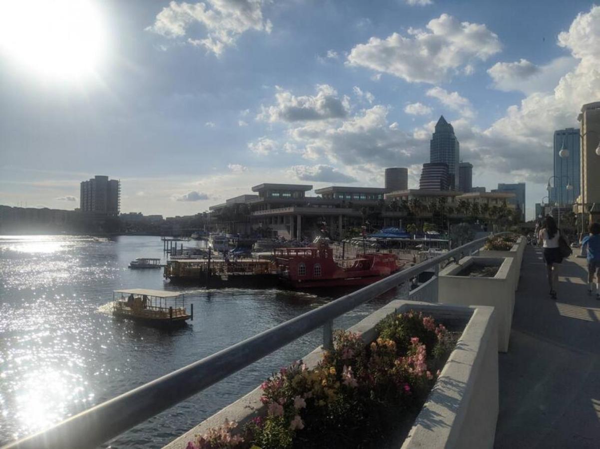 Florida Dream Vacation All New With Amenities ลูทซ์ ภายนอก รูปภาพ